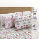 Spring Florals | 300TC Mercerized Cotton Bedsheet