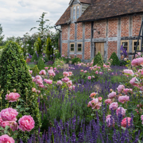 English Meadow Theme